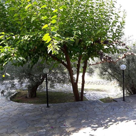 Σπίτι Σε Ελαιώνα, House In An Olive Grove Apartment Aria Ngoại thất bức ảnh