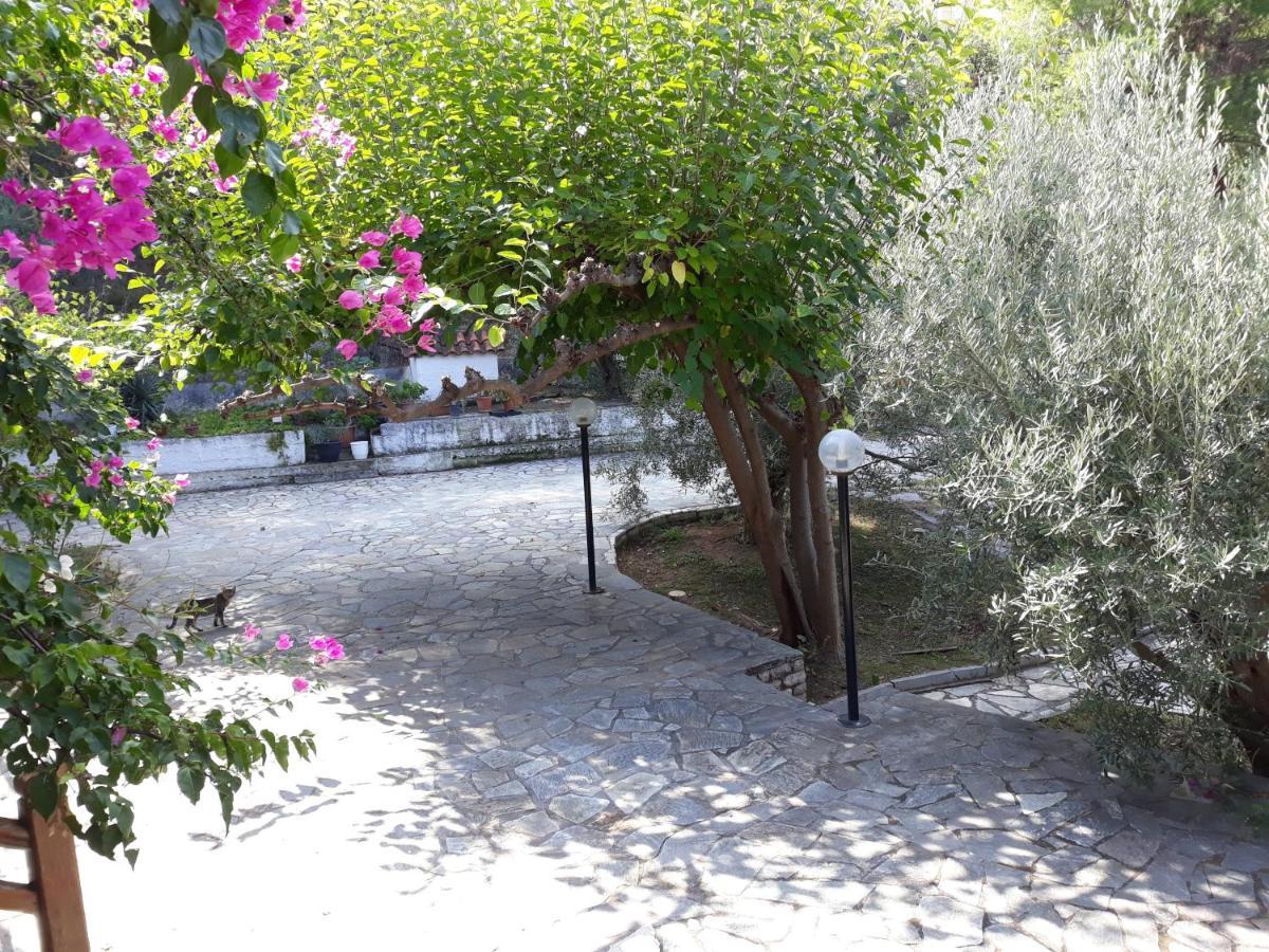 Σπίτι Σε Ελαιώνα, House In An Olive Grove Apartment Aria Ngoại thất bức ảnh