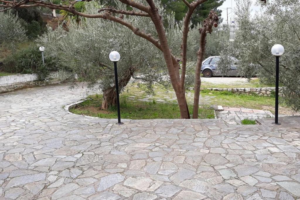 Σπίτι Σε Ελαιώνα, House In An Olive Grove Apartment Aria Ngoại thất bức ảnh