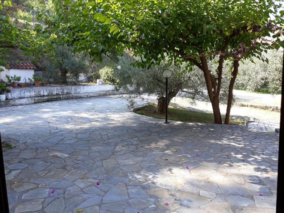 Σπίτι Σε Ελαιώνα, House In An Olive Grove Apartment Aria Ngoại thất bức ảnh