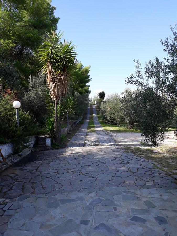 Σπίτι Σε Ελαιώνα, House In An Olive Grove Apartment Aria Ngoại thất bức ảnh